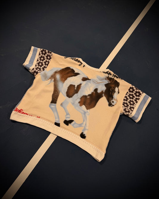 Reclaimed Back in the Saddle Sweat-T