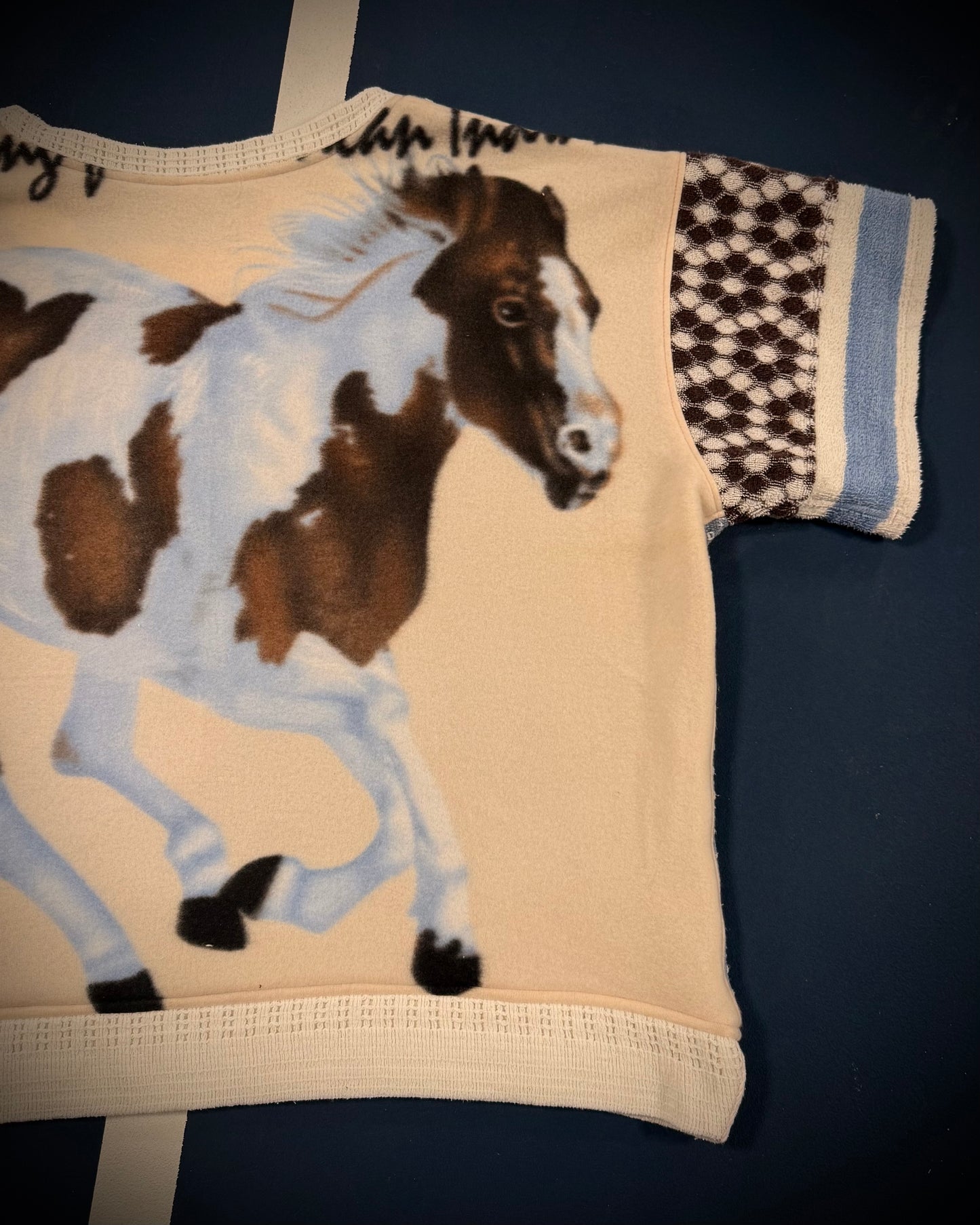 Reclaimed Back in the Saddle Sweat-T