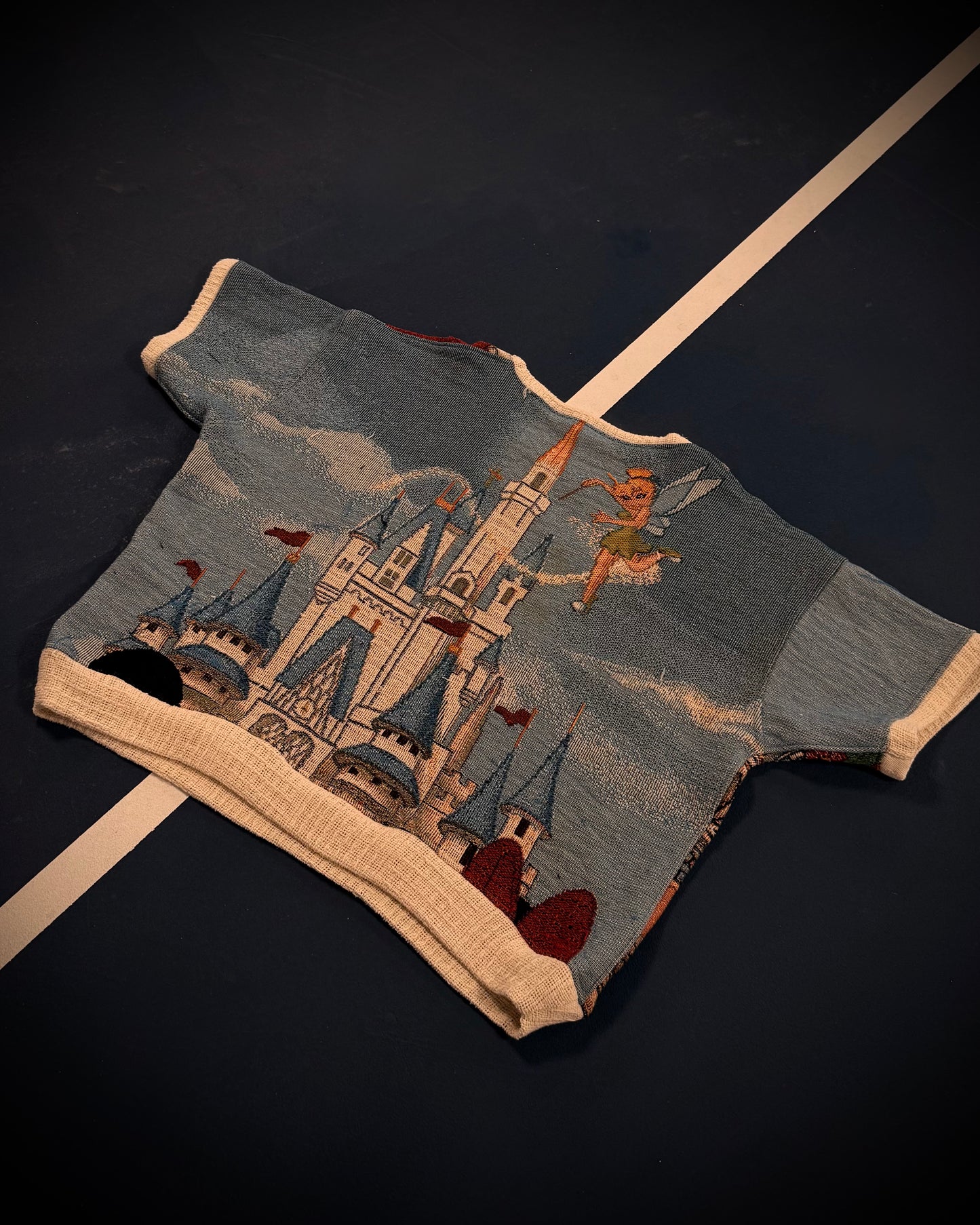Reclaimed We’re going to Disney! Tunic