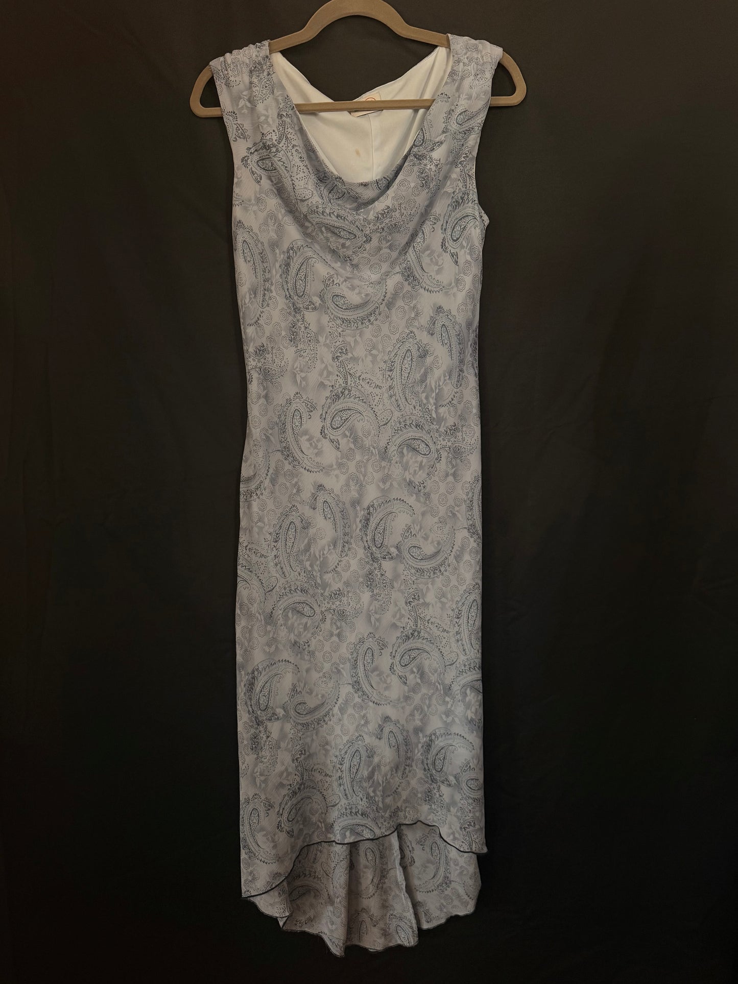 Blue Paisley Dress
