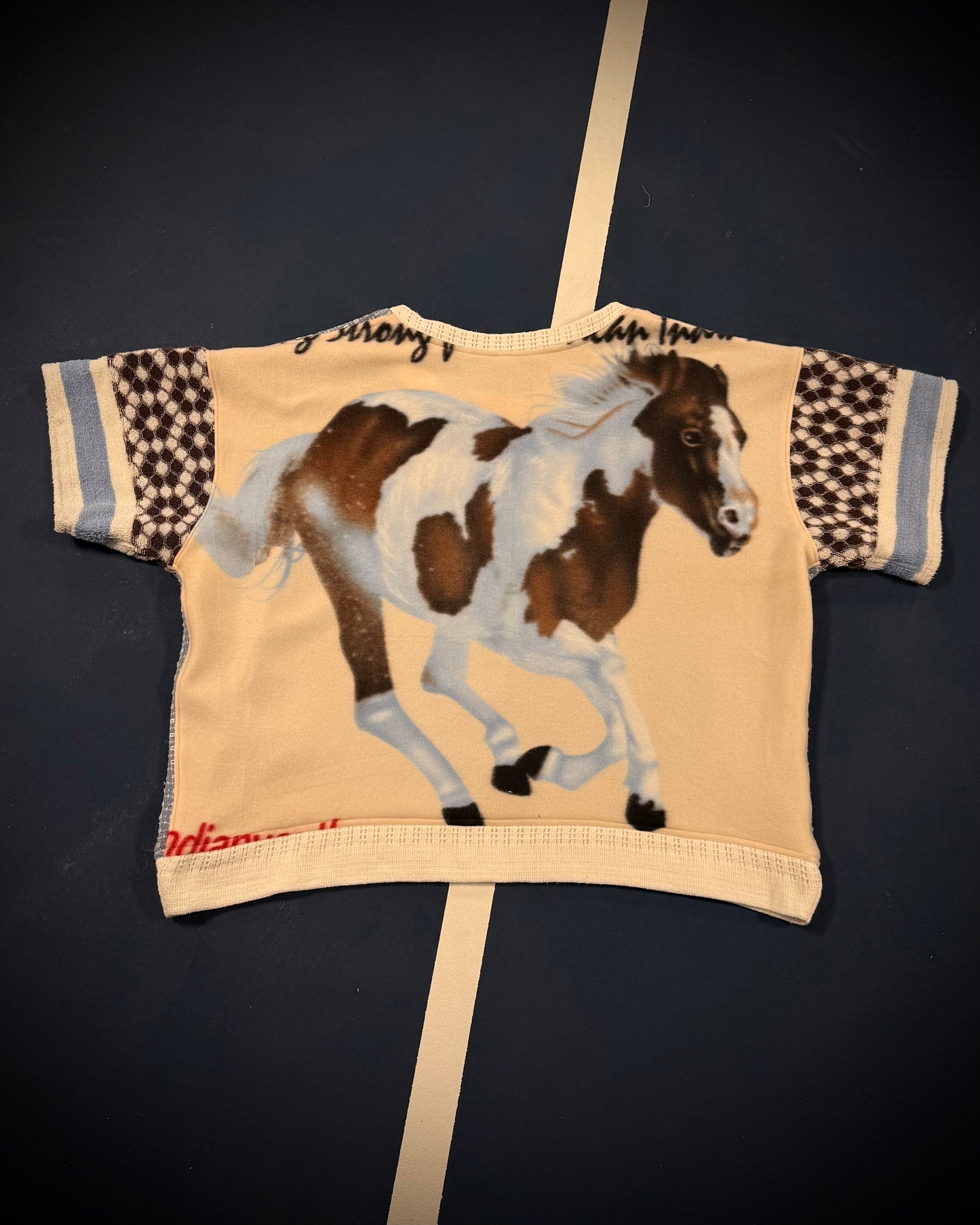 Reclaimed Back in the Saddle Sweat-T