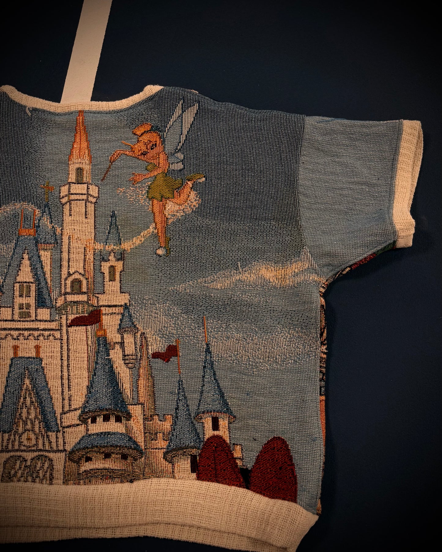 Reclaimed We’re going to Disney! Tunic