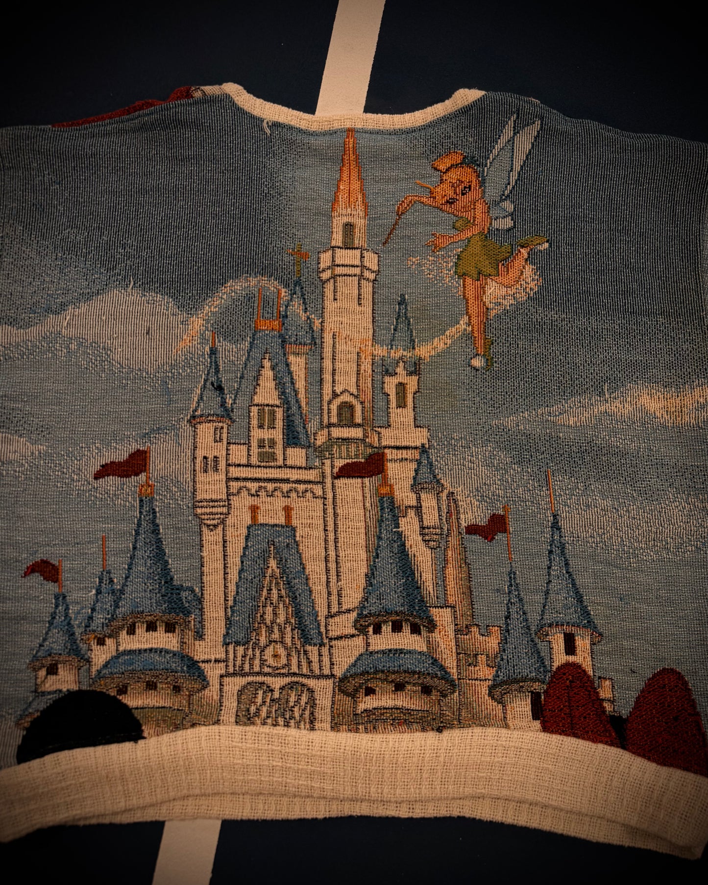 Reclaimed We’re going to Disney! Tunic